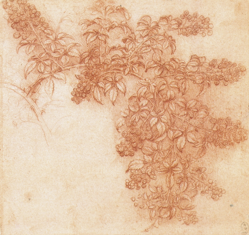 Leonardo+da+Vinci-1452-1519 (316).jpg